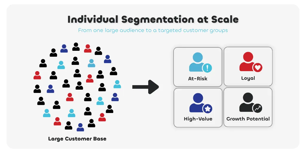 data visualization showing individual segmentation at scale
